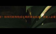 3个月到2岁科学判断狗狗成长期的黄金标准养宠人必看饲养指南