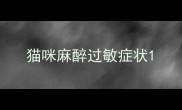 猫咪麻醉过敏症状