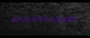 金毛幼犬用什么驱虫药