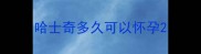 哈士奇多久可以怀孕