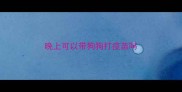 晚上可以带狗狗打疫苗吗
