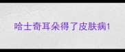 哈士奇耳朵得了皮肤病