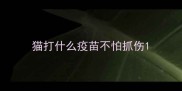 猫打什么疫苗不怕抓伤
