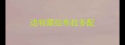 边牧跟拉布拉多配