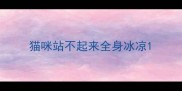 猫咪站不起来全身冰凉