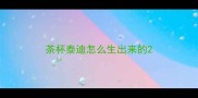 茶杯泰迪怎么生出来的