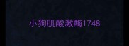 小狗肌酸激酶1748