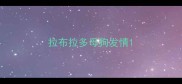 拉布拉多母狗发情