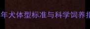 哈士奇两岁体态全成年犬体型标准与科学饲养指南附体重对照表