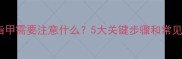 猫咪做指甲需要注意什么5大关键步骤和常见误区全