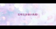 拉布拉多细小高烧