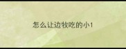 怎么让边牧吃的小