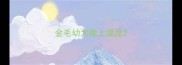 金毛幼犬晚上温度
