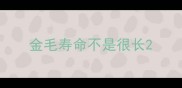 金毛寿命不是很长