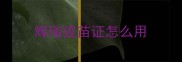 辉瑞疫苗证怎么用