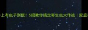 狗狗身上有虫子别慌5招教你搞定寄生虫大作战家庭养宠必看