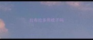 拉布拉多用梳子吗