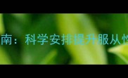 边境牧羊犬每日训练时间指南科学安排提升服从性与活跃度附训练技巧