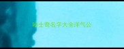哈士奇名字大全洋气公