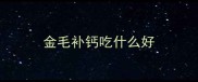 金毛补钙吃什么好