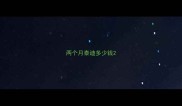 两个月泰迪多少钱