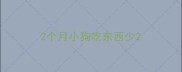 2个月小狗吃东西少