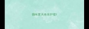 猫咪夏天绝育护理