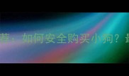 正规宠物店推荐如何安全购买小狗最新养宠指南