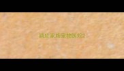 顽皮家族宠物医院