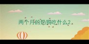 两个月的奶狗吃什么