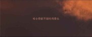 哈士奇能不能吃鸡骨头