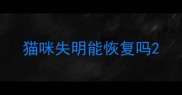猫咪失明能恢复吗