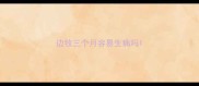 边牧三个月容易生病吗