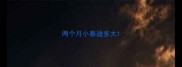 两个月小泰迪多大