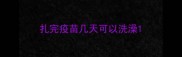 扎完疫苗几天可以洗澡