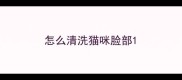 怎么清洗猫咪脸部