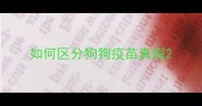 如何区分狗狗疫苗真假