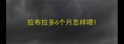 拉布拉多6个月怎样喂