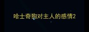 哈士奇狗对主人的感情