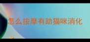 怎么按摩有助猫咪消化