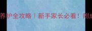 4个月拉布拉多幼犬养护全攻略新手家长必看附成长周期表和疫苗知识