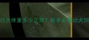 罗威纳两个月大体重多少正常新手必看幼犬饲养避坑指南