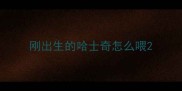 刚出生的哈士奇怎么喂