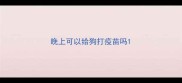 晚上可以给狗打疫苗吗