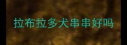 拉布拉多犬串串好吗