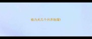 格力犬几个月开始溜