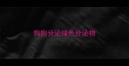 狗狗分泌绿色分泌物