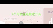 2个月的金毛能吃什么