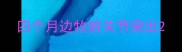 四个月边牧前关节突出