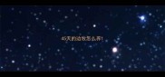 45天的边牧怎么养